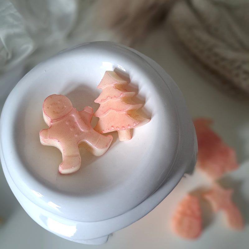 FESTIVE ORANGE | Wax Melts